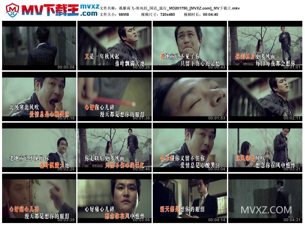 孤雁南飞-寒风泪_国语_流行_MD201750